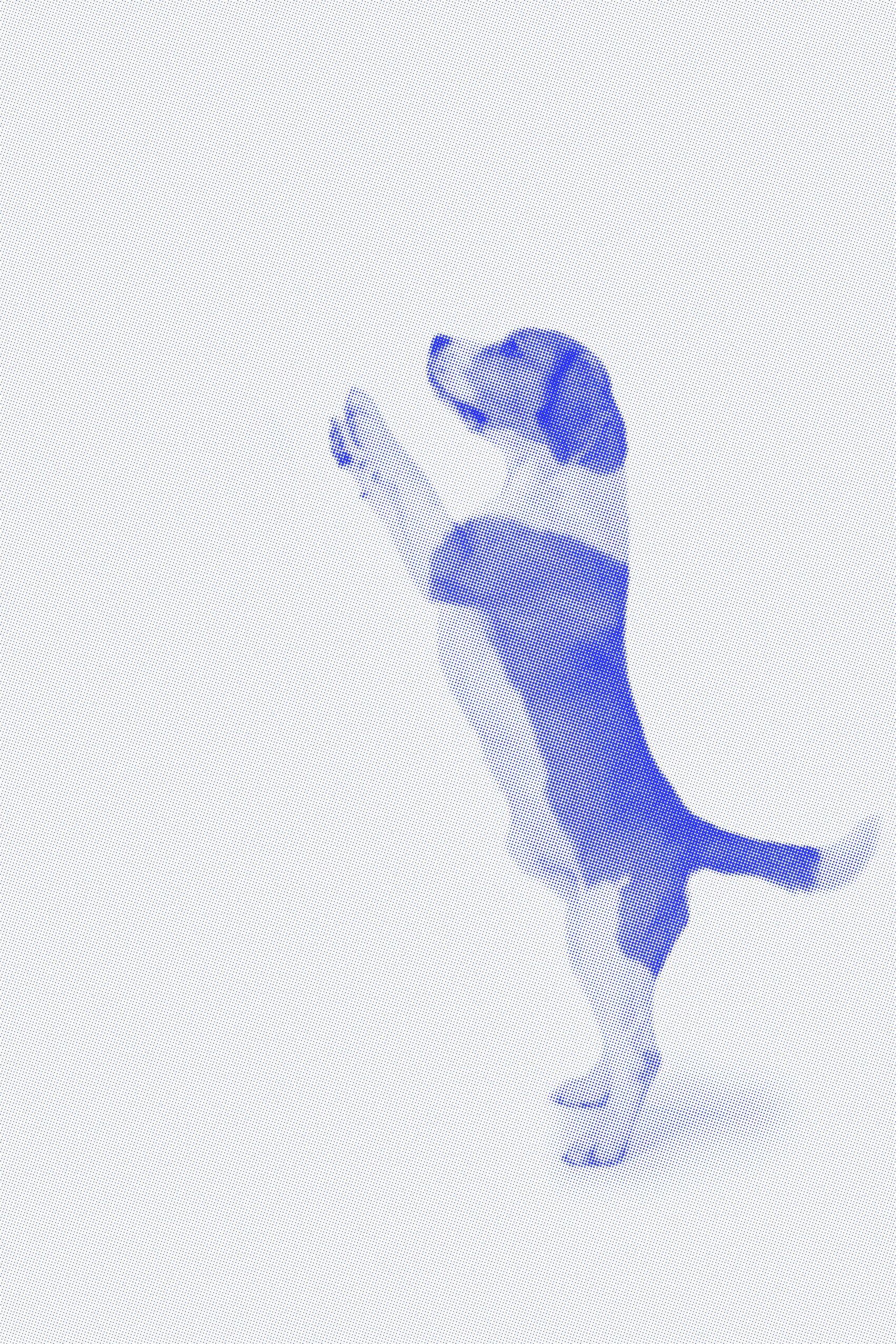 Imagen perro